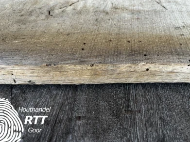 Algemene kenmerken hout